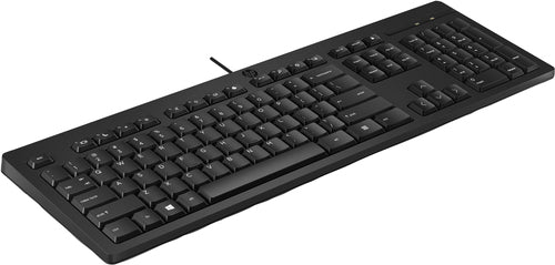 HP 125 Wired Keyboard (Bulk) clavier Bureau USB Noir