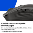 HP Souris silencieuse sans fil noire 405