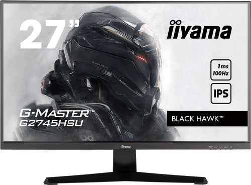 27iW LCD Full HD Gaming IPS 100Hz