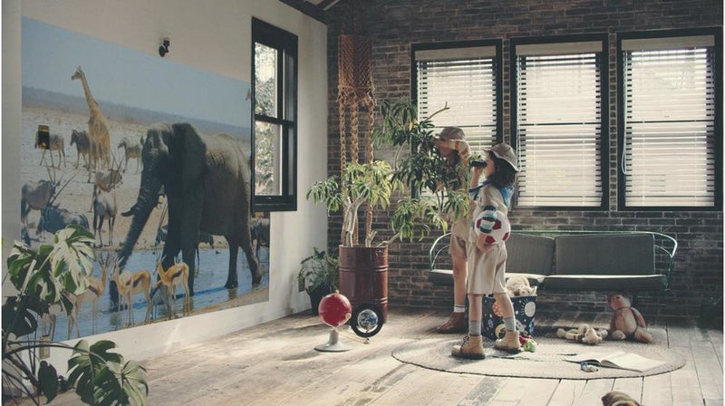 EH-TW6250 with HC lamp warranty