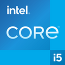iiyama OPC51204BC-1 PC/poste de travail Intel® Core™ i5 i5-12450H 8 Go DDR4-SDRAM 256 Go SSD Windows 11 IoT Enterprise Mini PC Noir