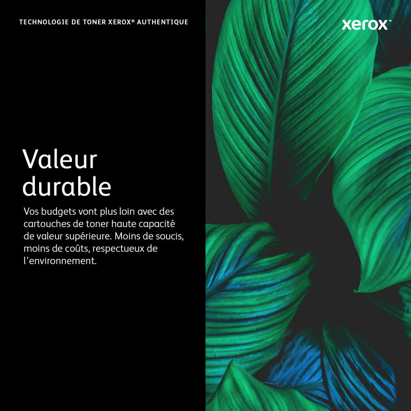 Xerox Cartouche de toner Noir de Capacité standard Imprimante couleur ® C310/multifonctions ® C315 (3000 pages) - 006R04356