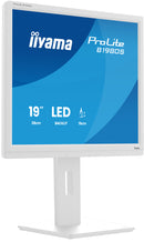 iiyama ProLite B1980S-W1 écran plat de PC 48,3 cm (19") 1280 x 1024 pixels SVGA LED Blanc