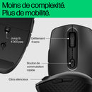 HP Souris sans fil rechargeable 690