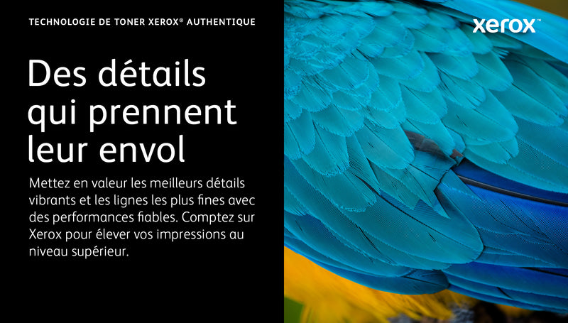 Xerox Cartouche de toner Jaune de Capacité standard Imprimante couleur ® C310/multifonctions ® C315 (2000 pages) - 006R04359