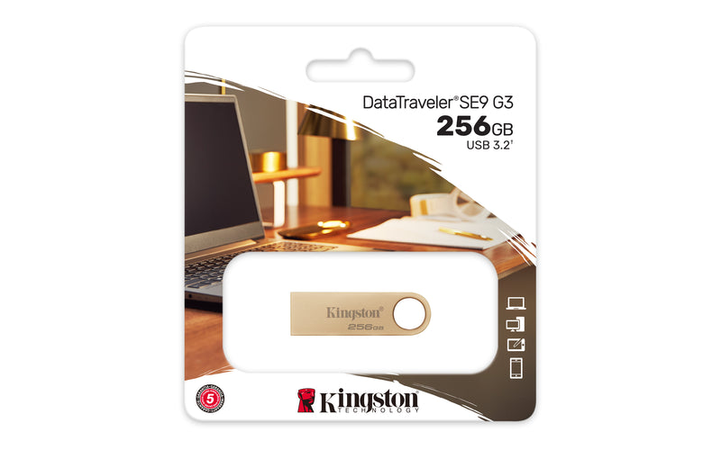 Kingston Technology DataTraveler 256Go 220Mo/s Clé USB 3.2 Gen 1 Métal SE9 G3