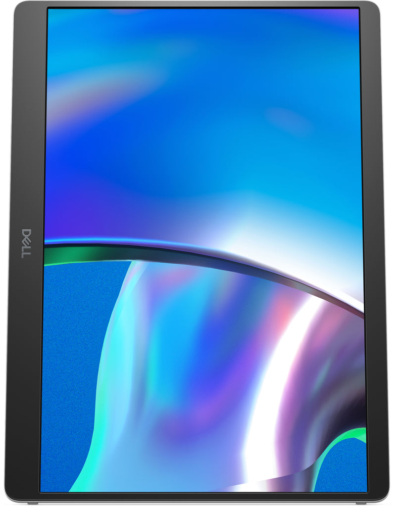 DELL Pro Plus P1425 flat PC monitor 35.6 cm (14") 1920 x 1200 pixels WUXGA LCD Silver