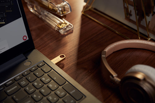 Kingston Technology DataTraveler 512Go 220Mo/s Clé USB 3.2 Gen 1 Métal SE9 G3