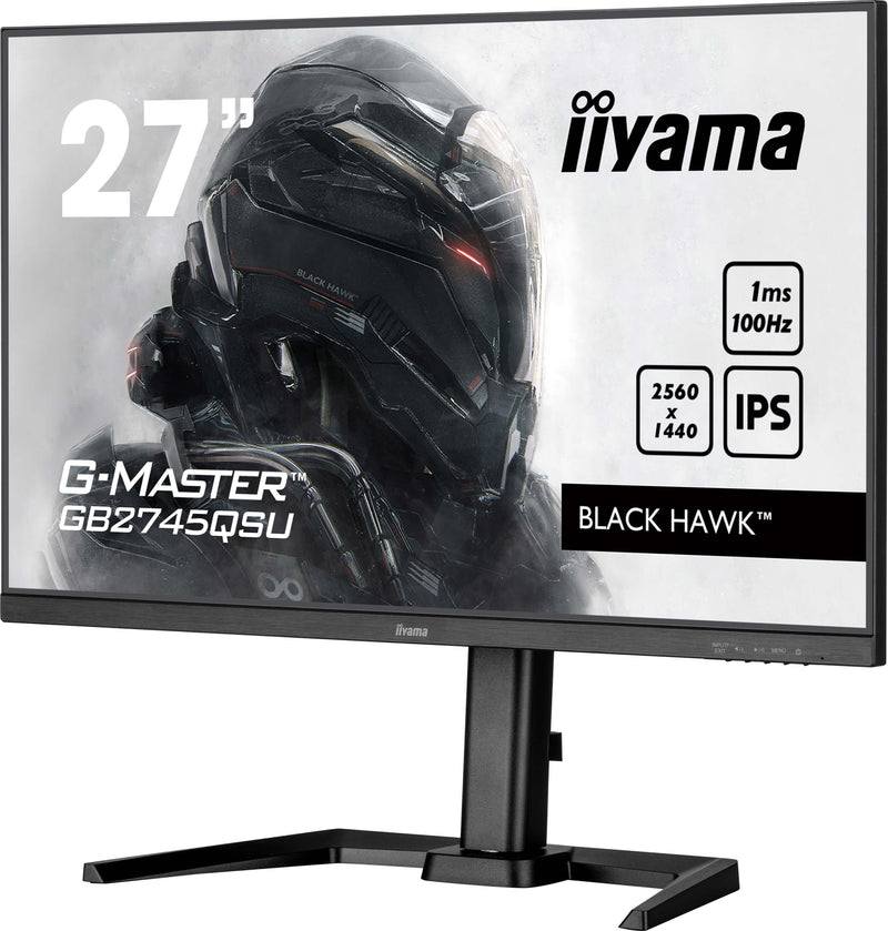 27iW LCD QHD Business/Gaming IPS 100Hz