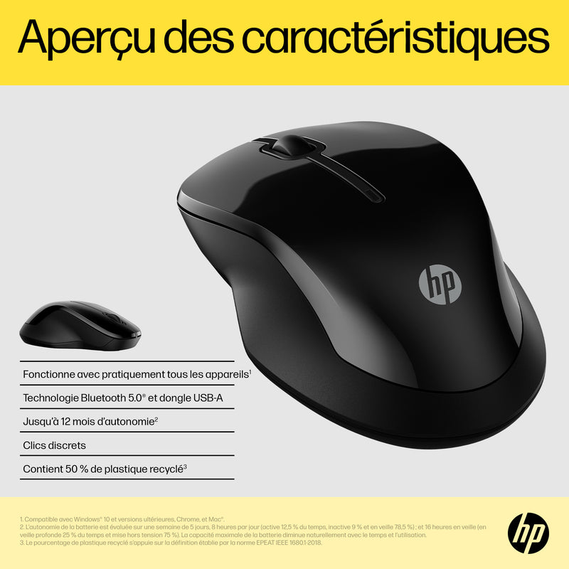 HP Dual Mouse 250