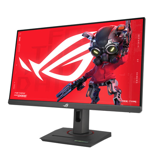 LCD XG259CS