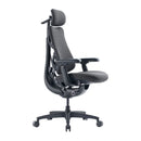 LiberNovo Omni GEN 48 cm Ergonomic Chair (Graphite)