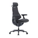 LiberNovo OC1-PRO 48 cm Ergonomic Chair (Graphite)