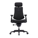 LiberNovo LNOC1-SE 48 cm Ergonomic Chair (Black)