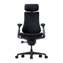 LiberNovo Omni 48 cm Ergonomic Chair (Black)