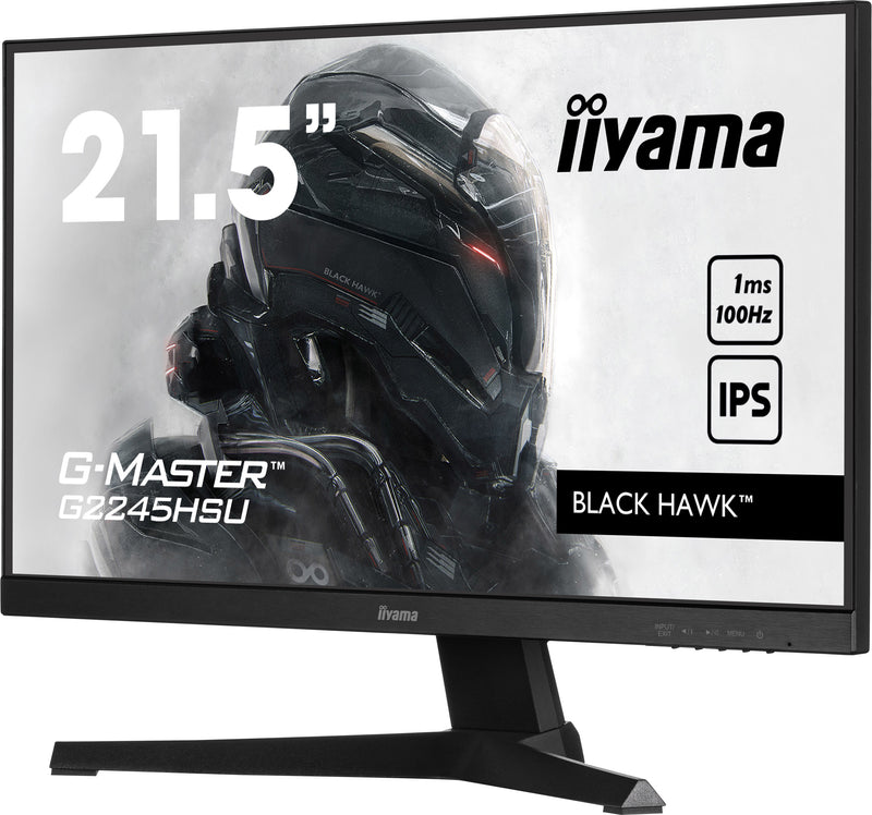 22iW LCD Full HD Gaming IPS 100Hz
