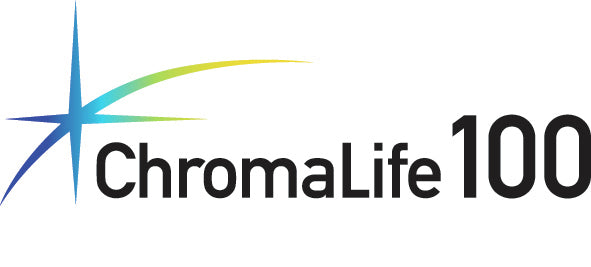 Canon 5225B013 cartouche d'encre 2 pièce(s) Original Noir, Cyan, Magenta, Jaune