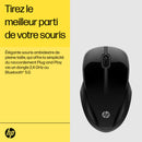 HP Dual Mouse 250