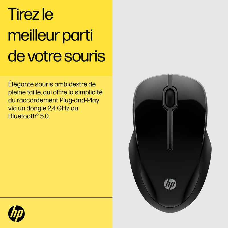 HP Dual Mouse 250