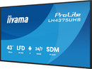 iiyama LH4375UHS-B2AG Digital Signage Display, 42,5" (108 cm) LCD-scherm, wifi, 500 cd/m², 4K Ultra HD, zwart, ingebouwde Android 11-processor, 24/7