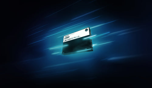 Kingston Technology 3,84TB DC3000ME U.2 PCIe 5.0 NVMe TCG Opal Enterprise SSD