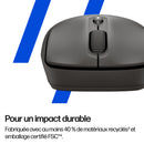 HP Souris silencieuse sans fil noire 405