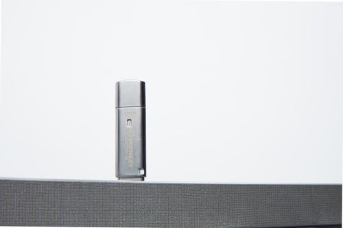 Kingston Technology IronKey 128 Go IKLP50 AES USB, w/256bit Encryption