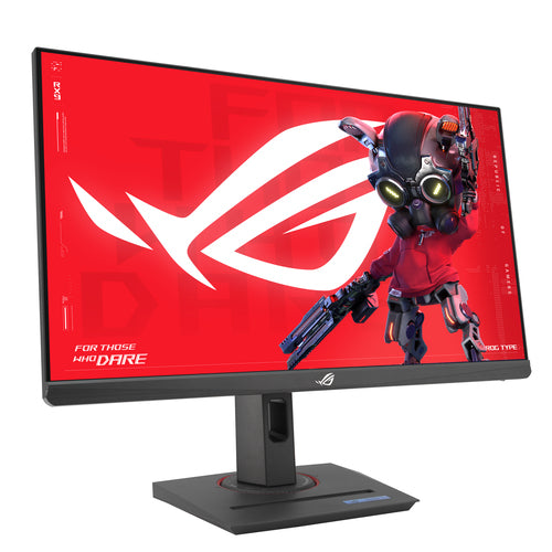 LCD XG259CS