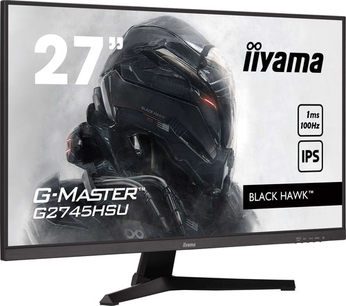 27iW LCD Full HD Gaming IPS 100Hz