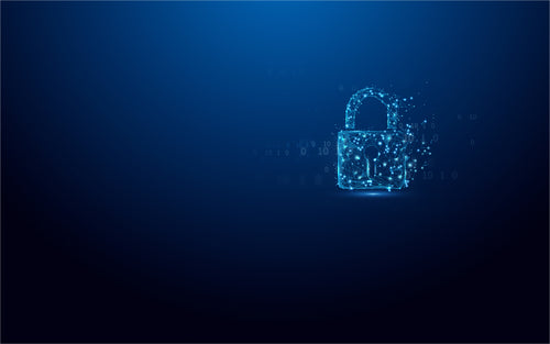 Kingston Technology IronKey 256GB Vault Privacy 50 gecodeerde AES-256, FIPS 197