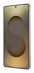 Samsung Galaxy S25 Ultra 17.5 cm (6.9") Dual SIM Android 15 5G USB Type-C 12 GB 512 GB 5000 mAh Grey, Titanium