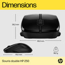 HP Dual Mouse 250
