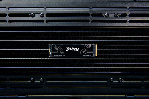Kingston Technology 2T FURY RENEGADE G5 M.2 2280 NVMe SSD