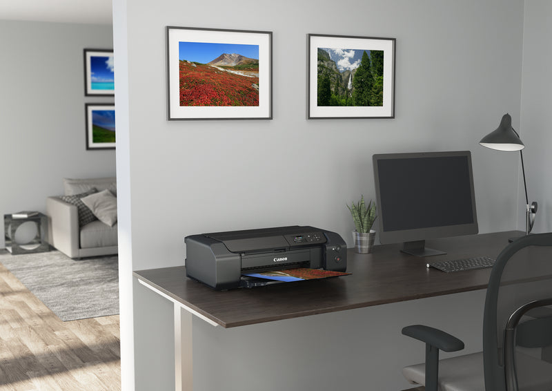 Canon PIXMA PRO-200s imprimante photo Jet d'encre 4800 x 2400 DPI Wifi