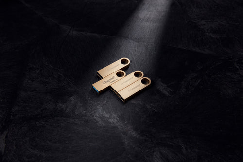 Kingston Technology DataTraveler 128Go 220Mo/s Clé USB 3.2 Gen 1 Métal SE9 G3