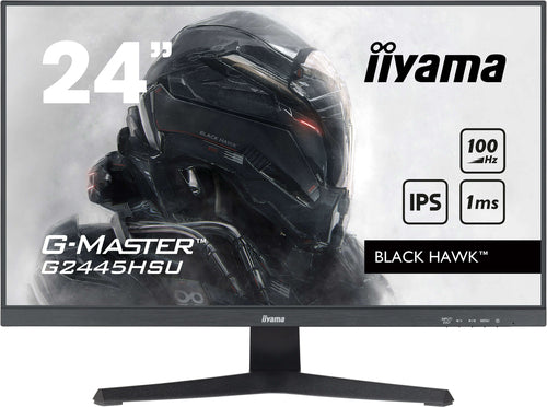 24iW LCD Full HD Gaming IPS 100Hz