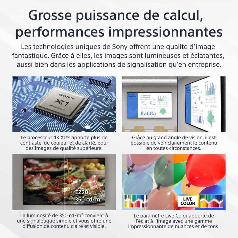 Sony FW-65EZ20L Écran d'affichage dynamique Écran plat de signalisation numérique 165,1 cm (65") LCD Wifi 350 cd/m² 4K Ultra HD Noir Android 16/7