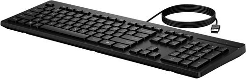 HP 125 Wired Keyboard (Bulk) clavier Bureau USB Noir