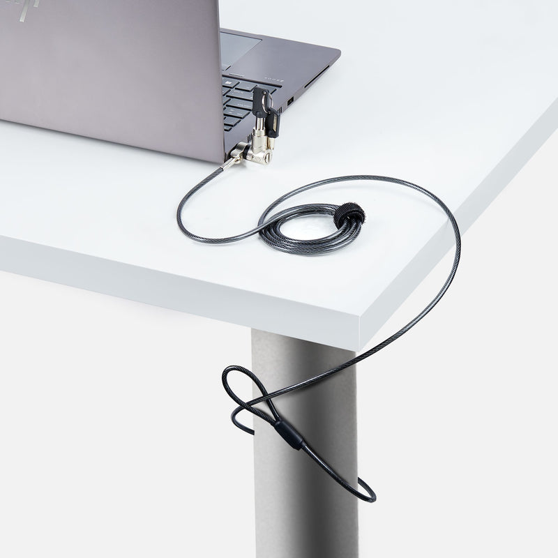 StarTech.com Câble Antivol pour Ordinateur Portable de 2m - Câble de Sécurité pour PC Compatible avec Noble Wedge/Nano/K-Slot, Câble de Verrouillage à Clé, Câble Antivol en Acier au Carbone Résistant aux Coupures