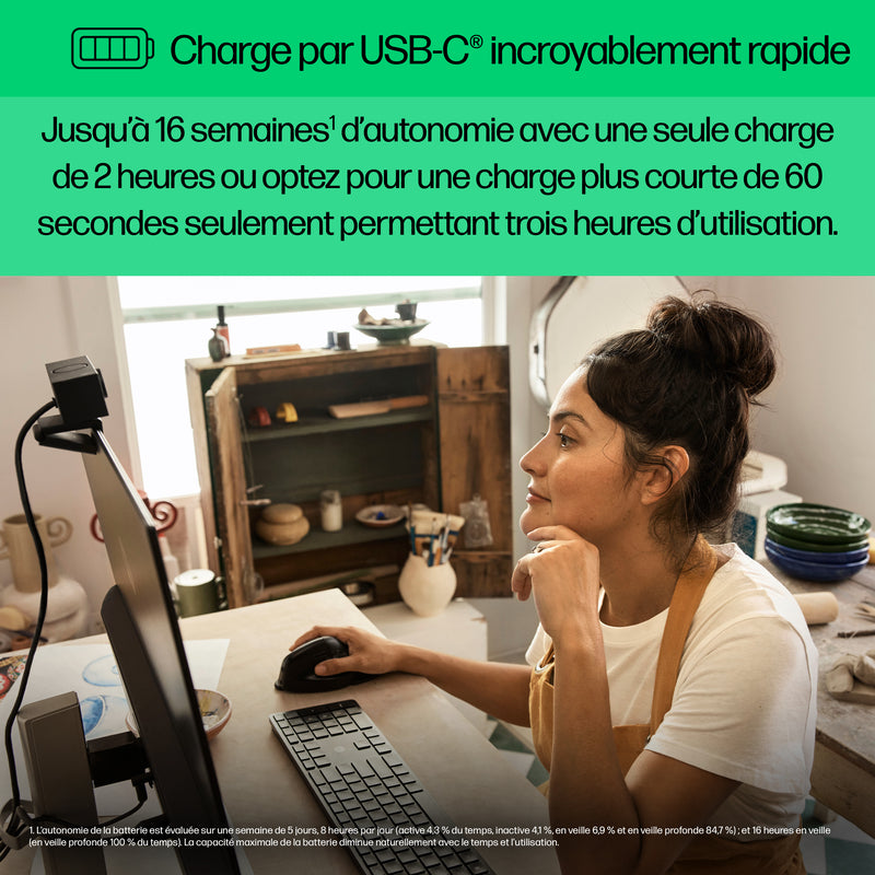 HP 920 Ergonomic Wireless Mouse