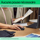 HP Souris sans fil rechargeable 690