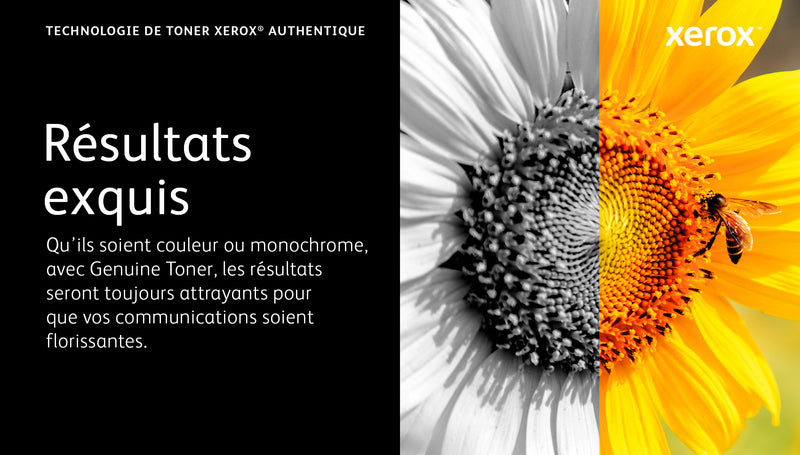 Xerox Cartouche de toner Jaune de Capacité standard Imprimante couleur ® C320/multifonctions ® C325 (1800 pages) - 006R04822