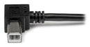 StarTech.com Câble USB 2.0 A vers USB B Coudé à droite Mâle / Mâle pour imprimante - 1 m - Noir