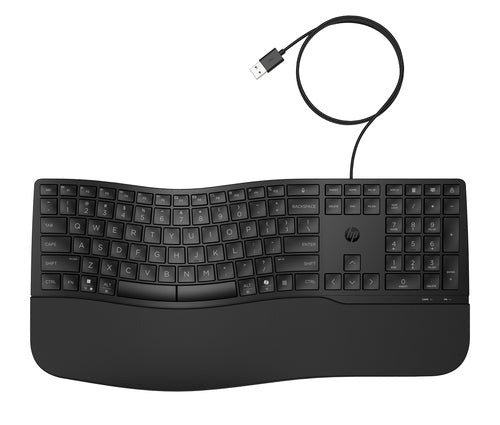 HP 485 CFT WD KBD clavier Bureau USB Noir