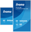 iiyama LH6581UHSG-1AG Écran d'affichage dynamique Écran plat de signalisation numérique 163,8 cm (64.5") Wifi 500 cd/m² 4K Ultra HD Blanc Intégré dans le processeur Android 24/7